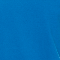 helleskoenigsblau