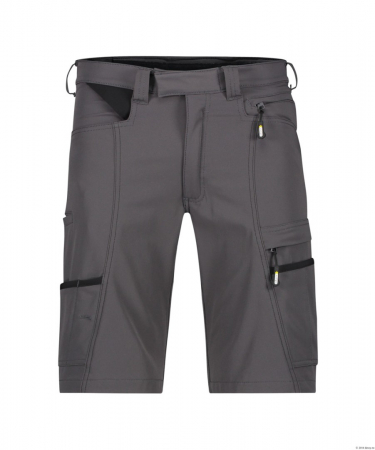 SPARX Short  D-Flex v. Dassy