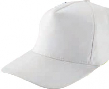Base Cap American Style
