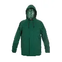 Borneo-green-web.webp
