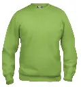 021030_67_BasicRoundneck_F.webp