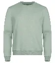 0201030-615_MiamiRoundneck_SageGreen_front.webp
