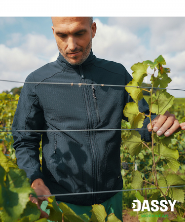 [00565351-0043] SINTRA Midlayerjacke von Dassy (anthrazit, 4XL)