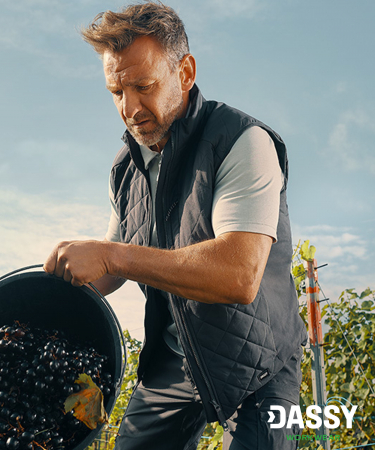 [00565346-0043] YALA Bodywarmer von Dassy (anthrazit, 4XL)